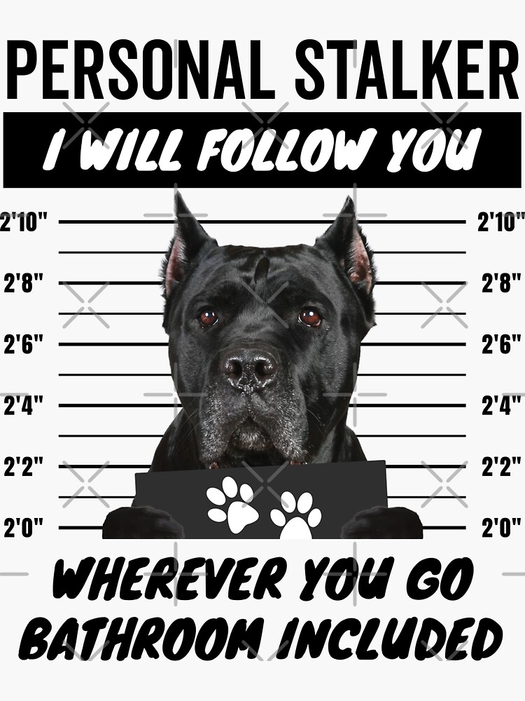 Personal Stalker Dog – Cropped Ears Black Cane Corso