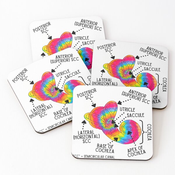 Item preview, Inner Ear - Rainbow Vestibular and Cochlear Labyrinth designed and sold by Hear4theEars.