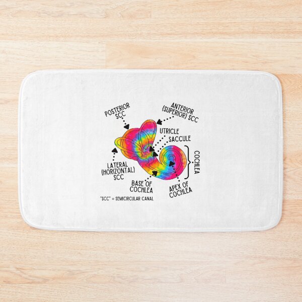 Item preview, Inner Ear - Rainbow Vestibular and Cochlear Labyrinth designed and sold by Hear4theEars.
