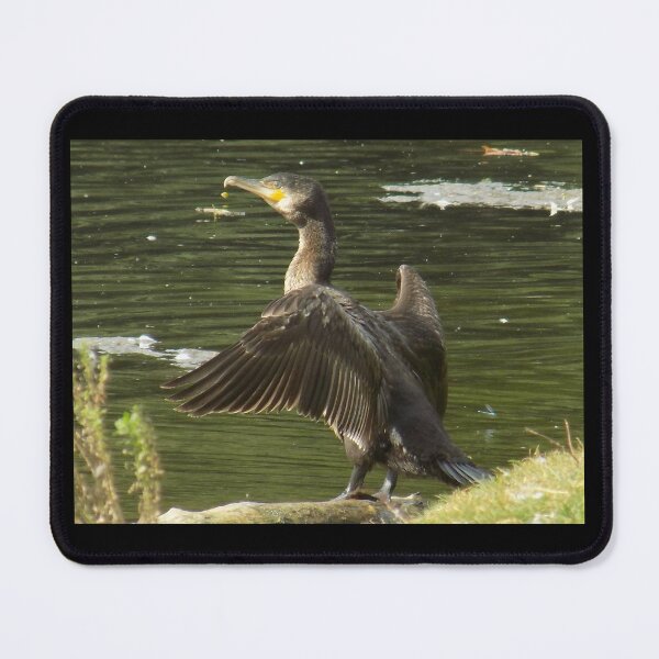 Artikelvorschau, Kormoran entworfen und verkauft von Photos-by-Eddie.