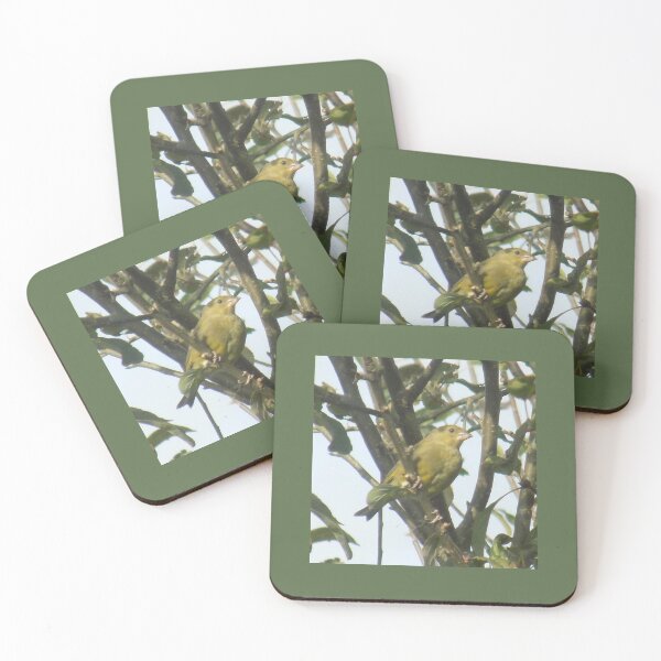 Item preview, Greenfinch designed and sold by Photos-by-Eddie.