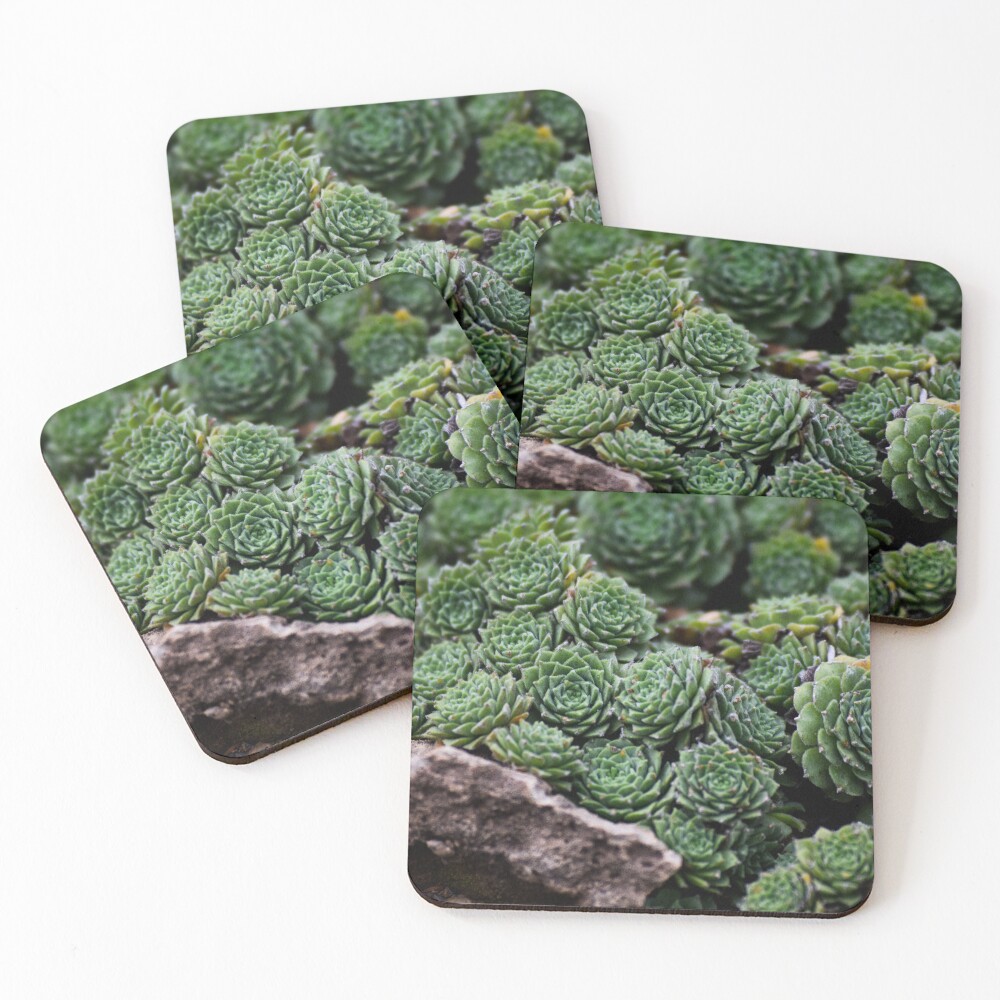 Item preview, Coasters (Set of 4) designed and sold by Reriginal.