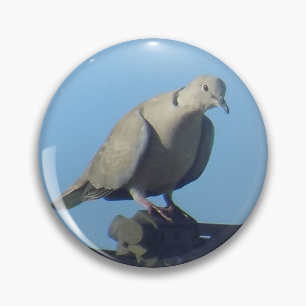 Item preview, Collared dove on telephone wire designed and sold by Photos-by-Eddie.