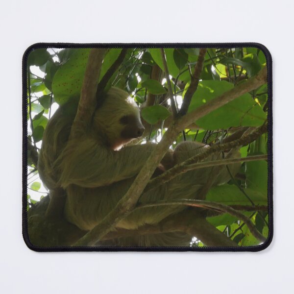 Item preview, Just Slothing Around designed and sold by Tara Baxendale.