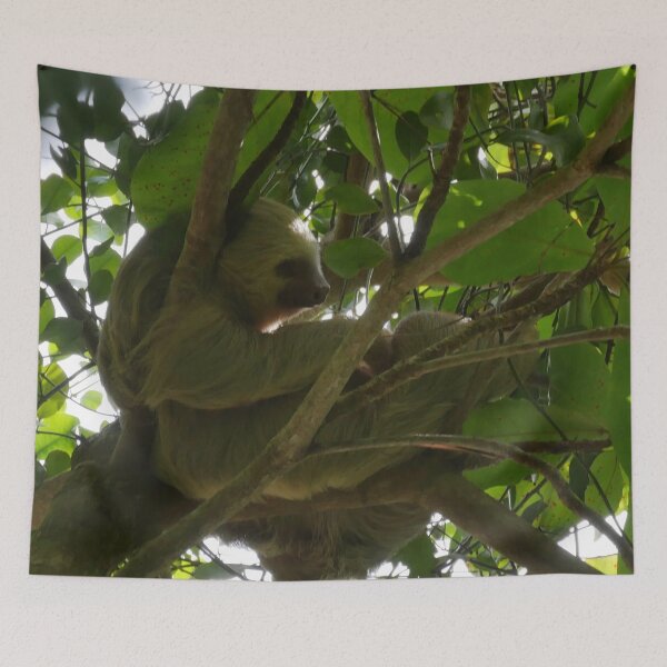 Item preview, Just Slothing Around  designed and sold by Tara  Baxendale.