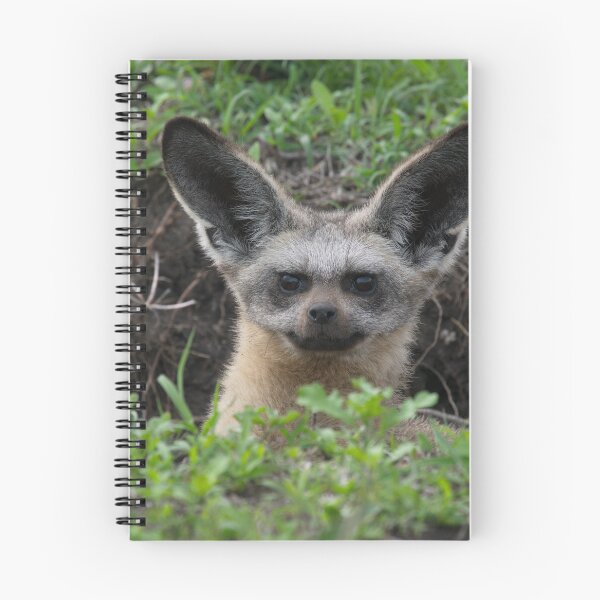 Item preview, Bat-Eared Fox in a Hole designed and sold by Alon-Cassidy.
