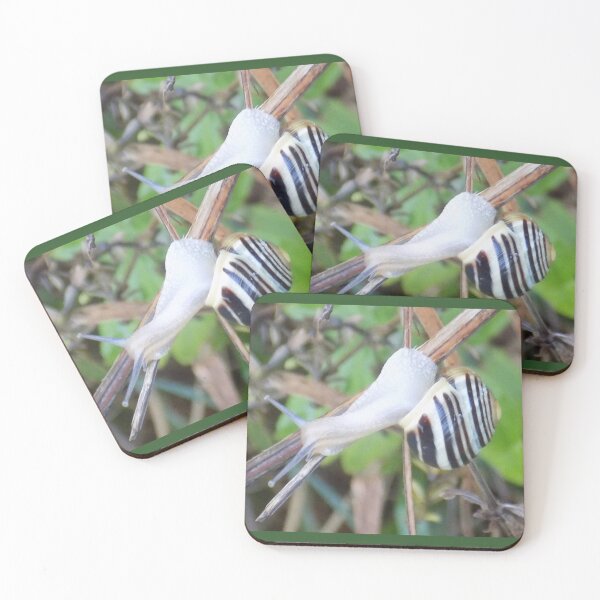 Item preview, White-lipped snail designed and sold by Photos-by-Eddie.