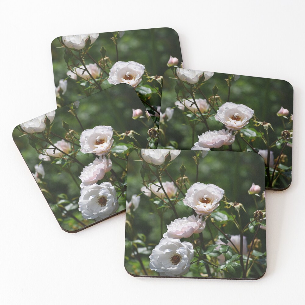 Item preview, Coasters (Set of 4) designed and sold by Reriginal.