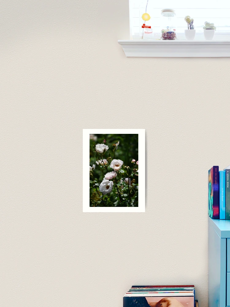 Thumbnail 2 of 3, Art Print, Little Roses designed and sold by Tracy Engle.