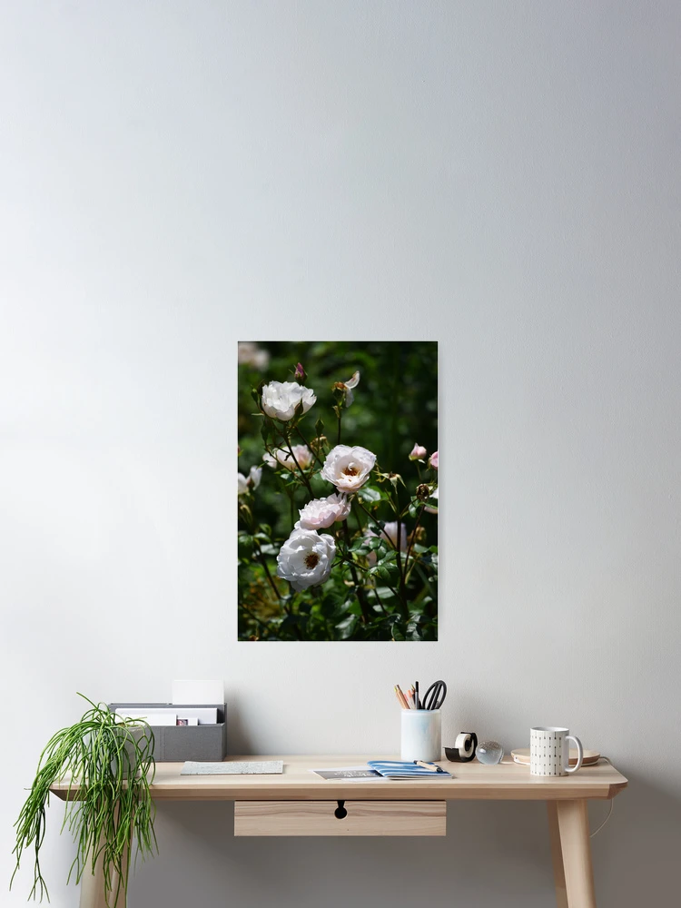 Thumbnail 2 of 3, Poster, Little Roses designed and sold by Tracy Engle.