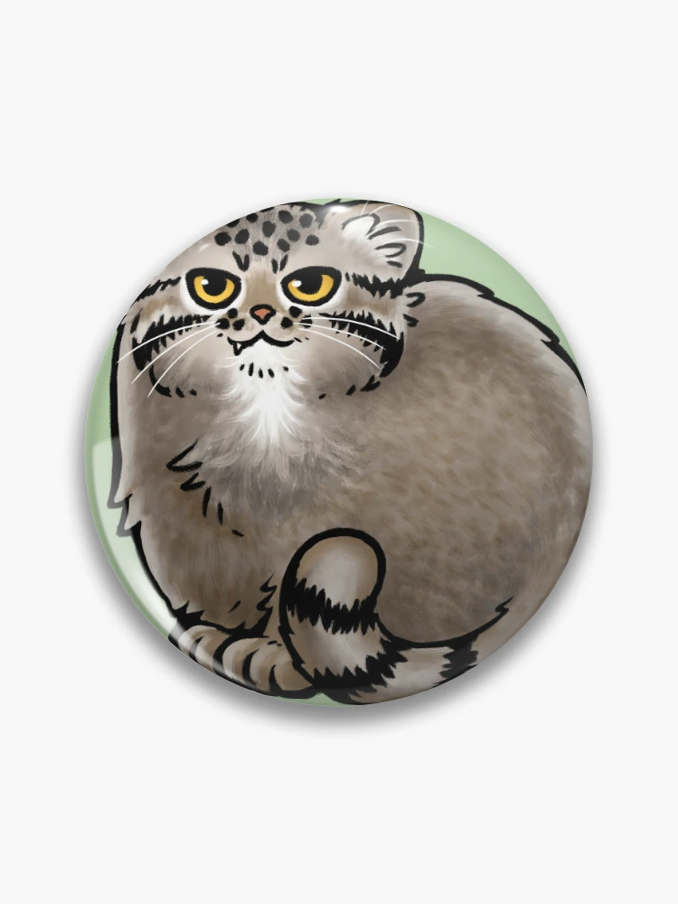 Pin en Cat ideas