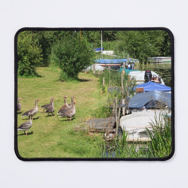 Item preview, Geese At Barton Turf designed and sold by maureen bracewell.