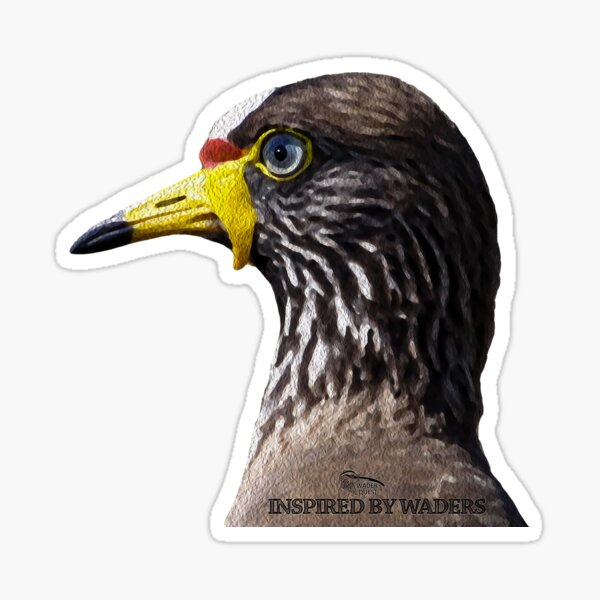 Item preview, African Wattled Lapwing designed and sold by WaderQuest.