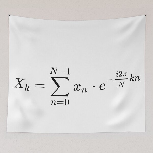 Item preview, Discrete Fourier transform equation, math basics designed and sold by NoetherSym.