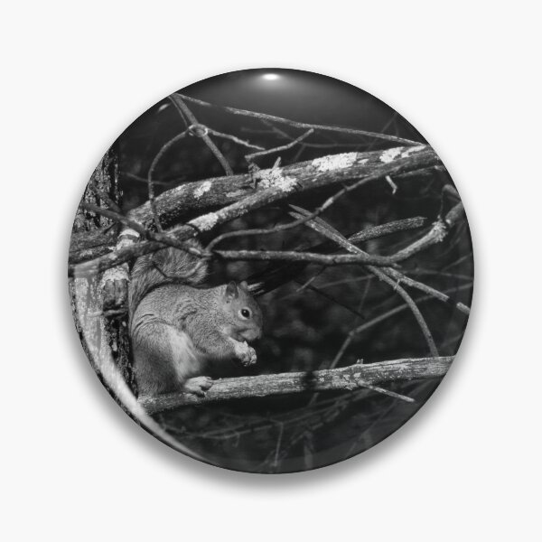 Item preview, hungry squirrel  designed and sold by R-York.