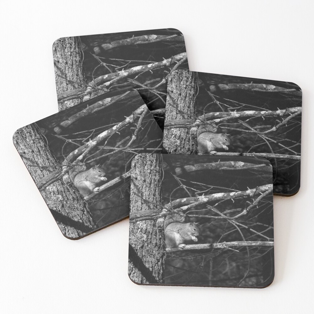 Item preview, Coasters (Set of 4) designed and sold by R-York.