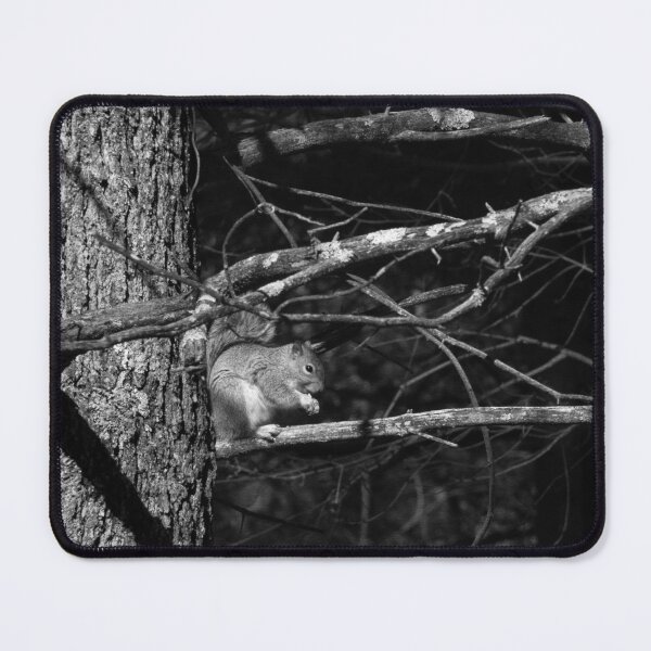 Item preview, hungry squirrel  designed and sold by R-York.
