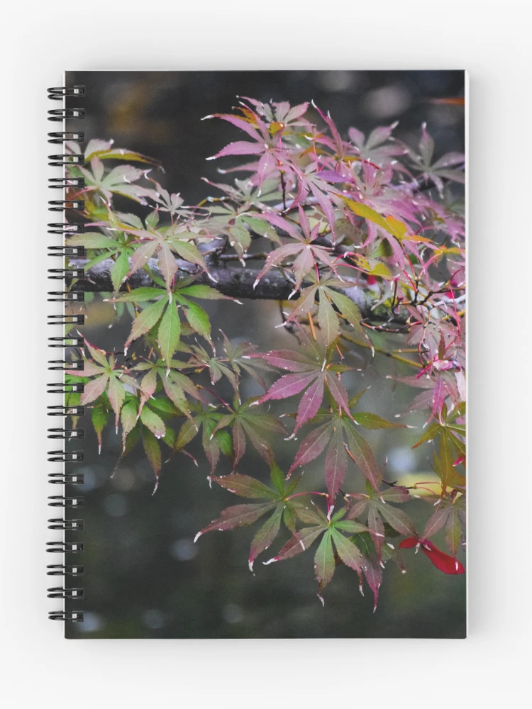 Thumbnail 1 of 3, Journal, Maple Branch designed and sold by Tracy Engle.