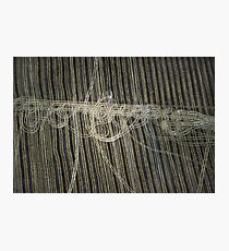 mown hay Photographic Print