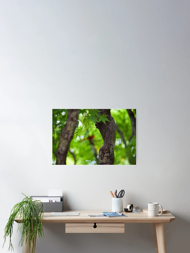 Thumbnail 2 of 3, Poster, Maple Branches designed and sold by Tracy Engle.