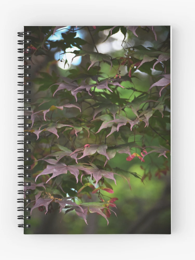 Thumbnail 1 of 3, Journal, Maple Cascade designed and sold by Tracy Engle.