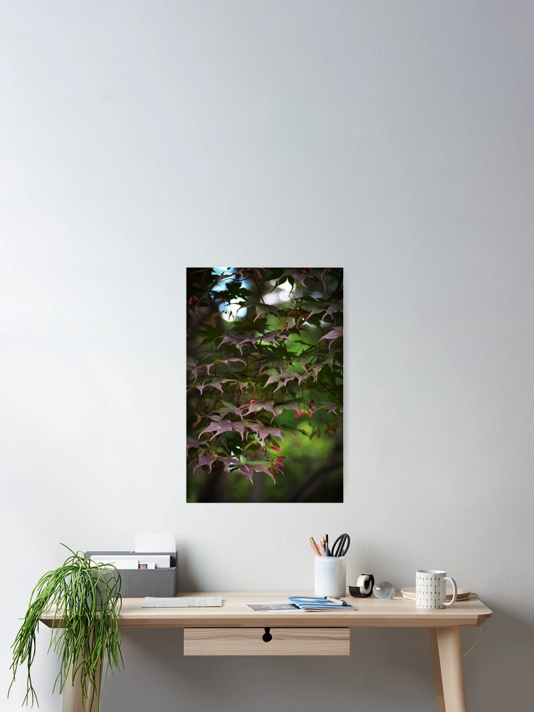Thumbnail 2 of 3, Poster, Maple Cascade designed and sold by Tracy Engle.