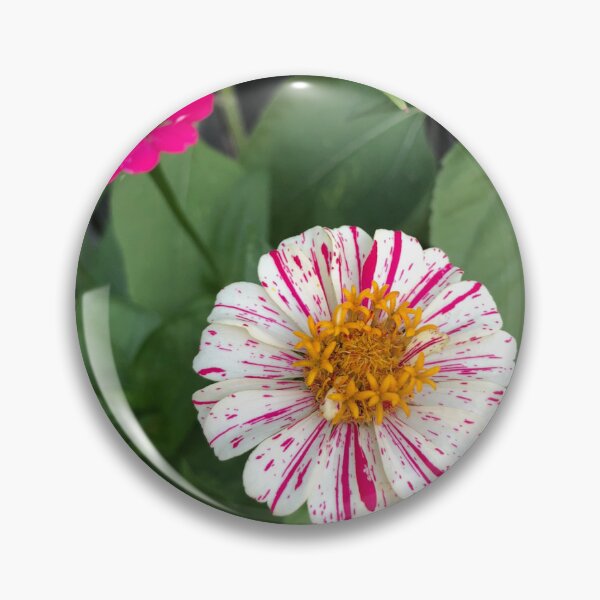 Item preview, Zinnias  designed and sold by Triciavondo.