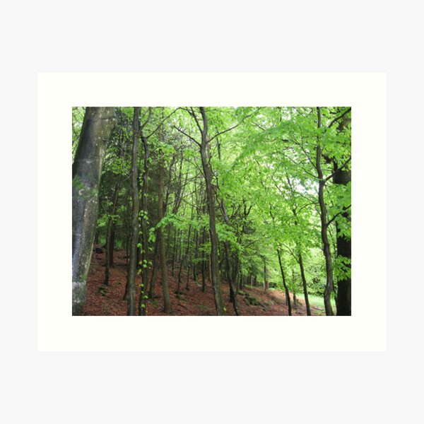 Spring green Art Print
