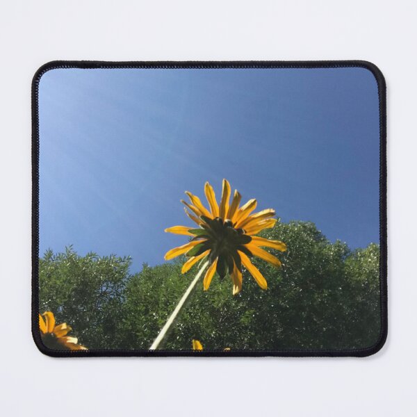 Item preview, Black-Eyed Susans, autumn yellow flowers, blue sky designed and sold by djrunnels.