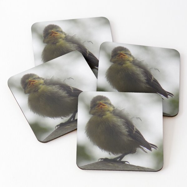 Item preview, Blue tit fledgling designed and sold by Photos-by-Eddie.