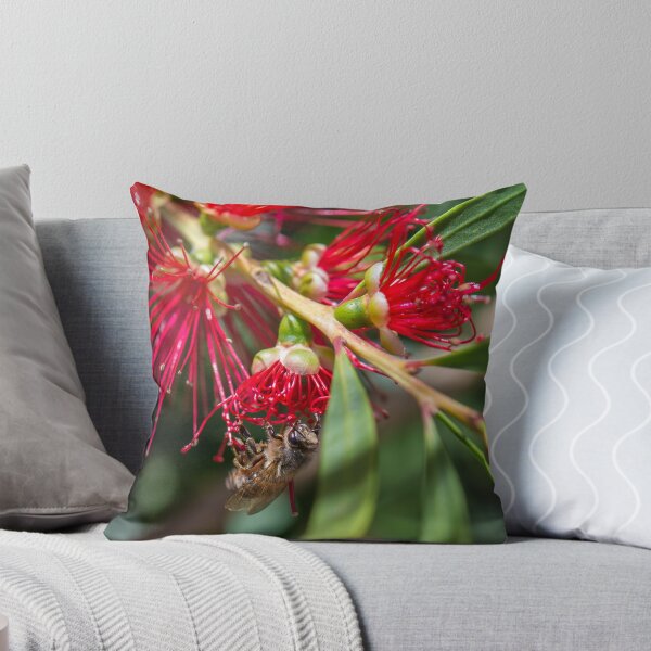 Item preview, Australian Bottlebrush flower with Bee designed and sold by Graeme Bayley.
