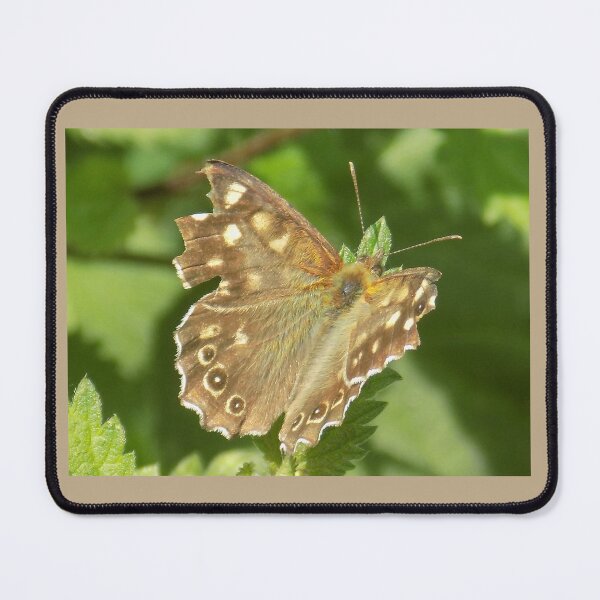 Item preview, Speckled wood butterfly designed and sold by Photos-by-Eddie.