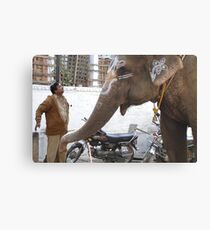..elepants.. Canvas Print