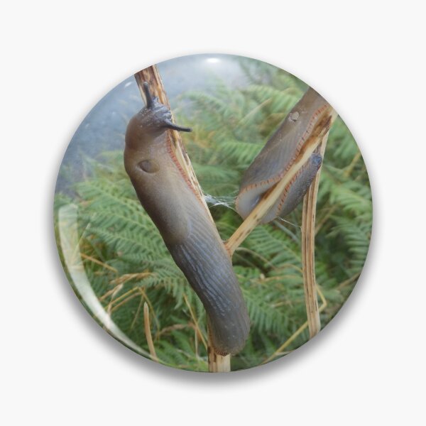 Item preview, Slugs and snail designed and sold by Photos-by-Eddie.
