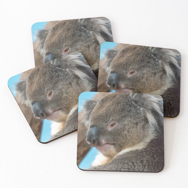 Item preview, Koala relaxing in tree designed and sold by cdkphotos.