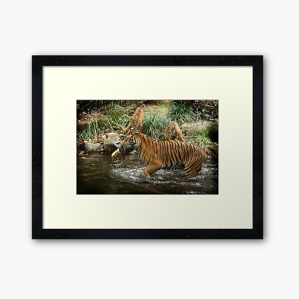 The Huntress Framed Art Print