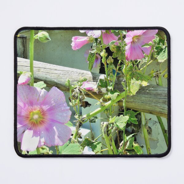 Item preview, Hollyhocks designed and sold by ART22.