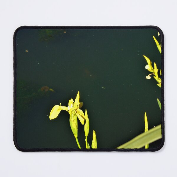 Item preview, Yellow irises designed and sold by ART22.