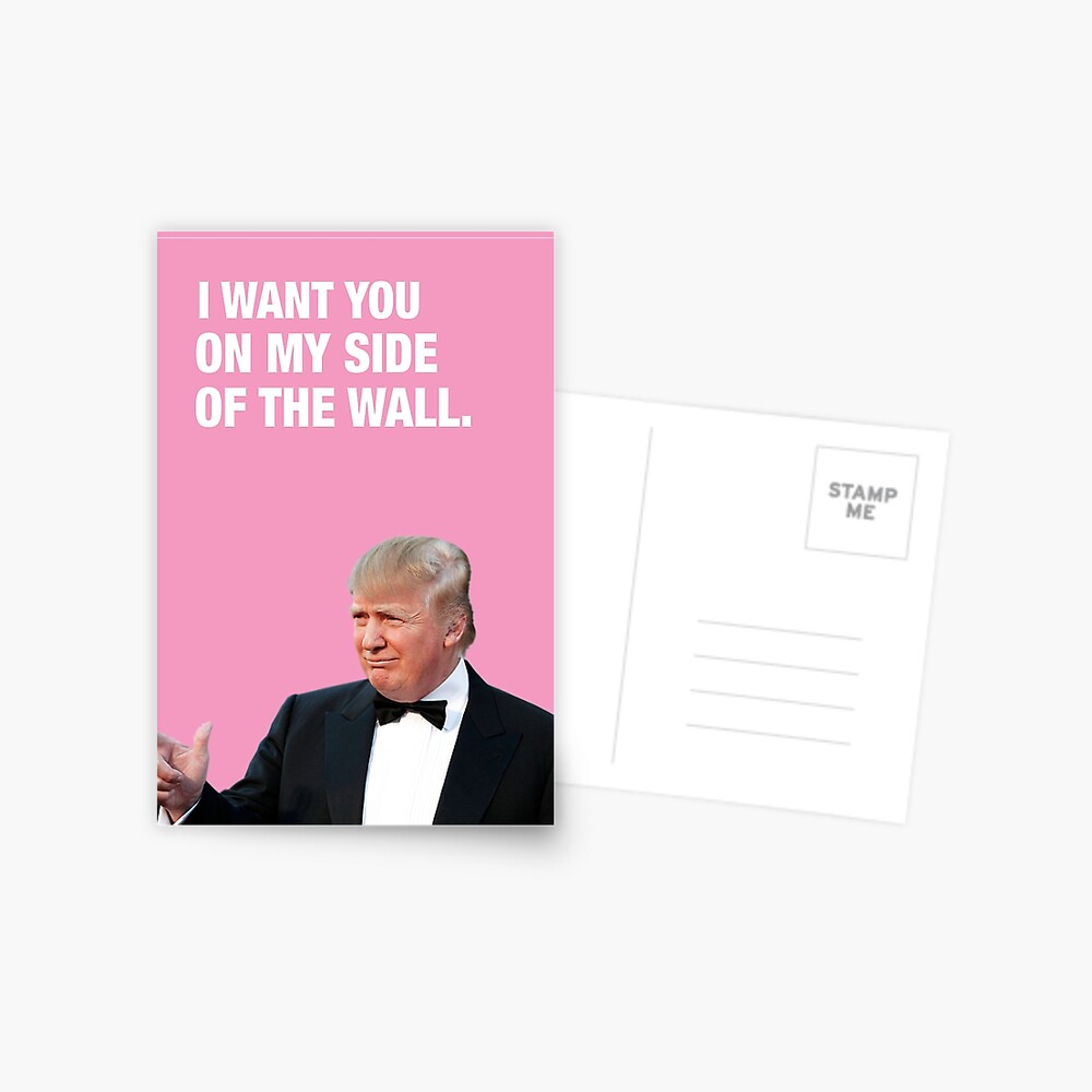 I Want You On My Side Of The Wall - Trump Valentine Postcard