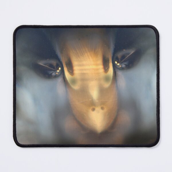 Item preview, Sheep in Glassclothing designed and sold by Jürgen Darski.
