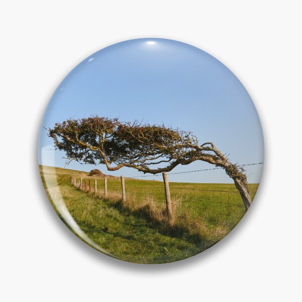 Item preview, Windswept Tree designed and sold by Graham Prentice.