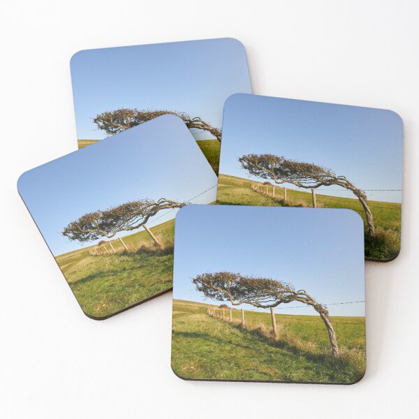 Item preview, Windswept Tree designed and sold by Graham Prentice.