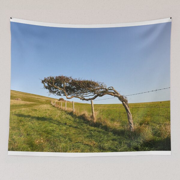 Item preview, Windswept Tree designed and sold by Graham Prentice.