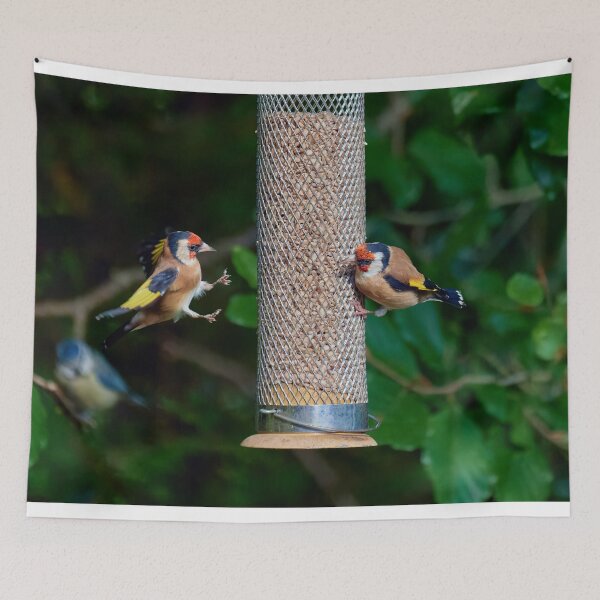 Item preview, Squabbling Goldfinches designed and sold by Graham Prentice.