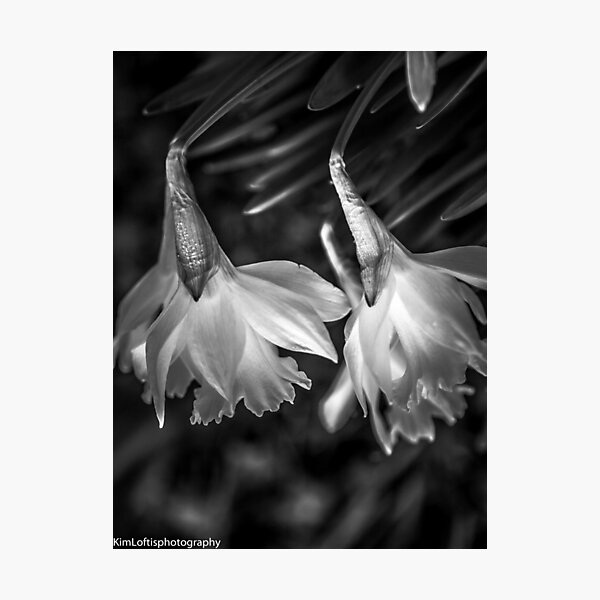 Item preview, Natures Perfection  designed and sold by Kim  Loftis.