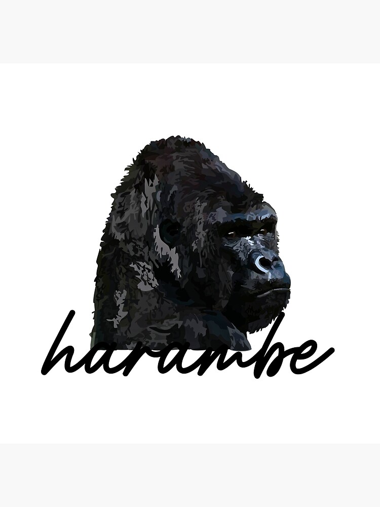 barstool harambe shirt  pardon my take harambe Art Board Print