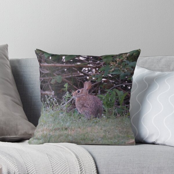 Aperçu de l'œuvre Wild Bunny créée et vendue par marialberg.