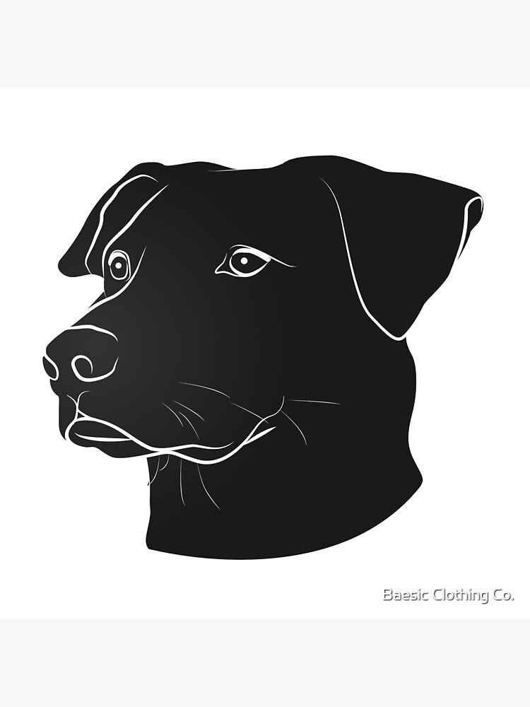 Black lab clearance clothing and accessories