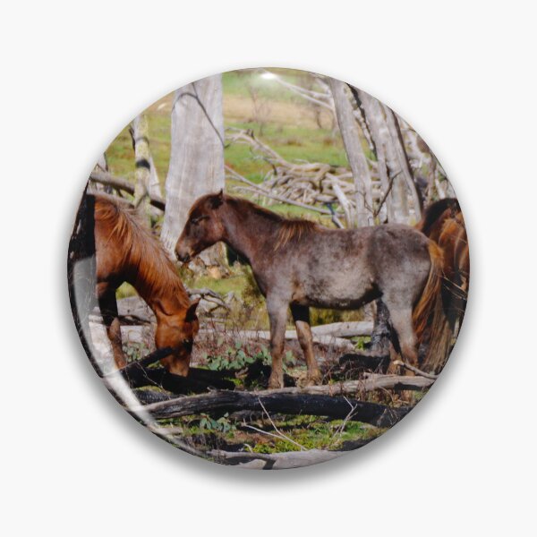 Item preview, High Country Brumbies designed and sold by D-GaP.