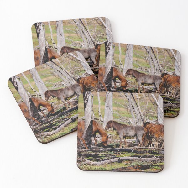 Item preview, High Country Brumbies designed and sold by D-GaP.